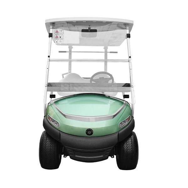 05-Electric non-lifted car