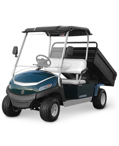 Portativ elektr golf aravasi