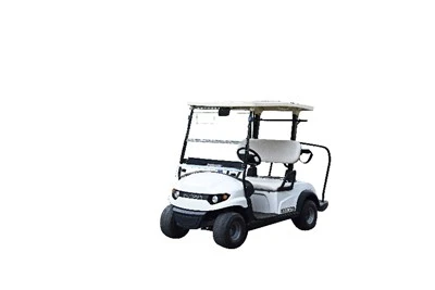 Ikki o'rinli elektr golf kursi mashinasi
